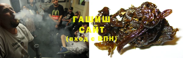 сатива Сосновка