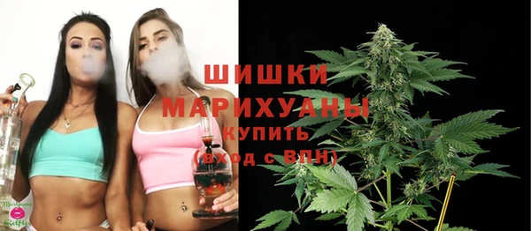 сатива Сосновка